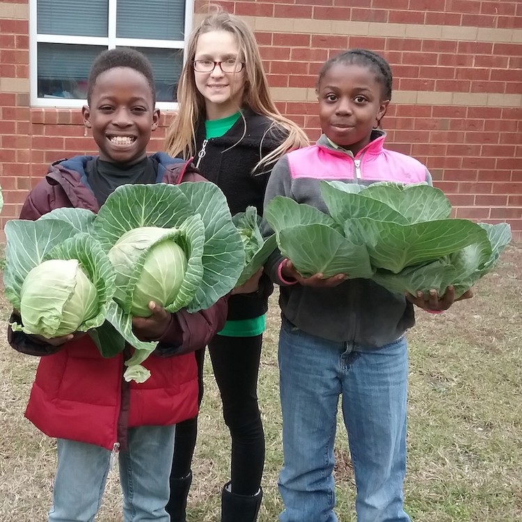 Ag in the Cafeteria: Teaching students how farmers grow their food